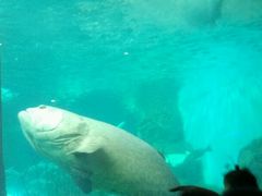 -洛阳龙门海洋馆