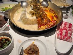 -小龙翻大江文化火锅(宽窄店)