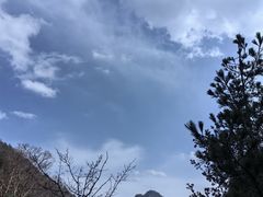 -朱雀国家森林公园
