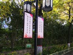 -文瀛公园
