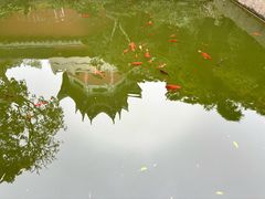 -黔灵山公园