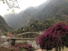 -太鲁阁公园