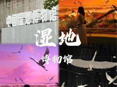 -中国湿地博物馆