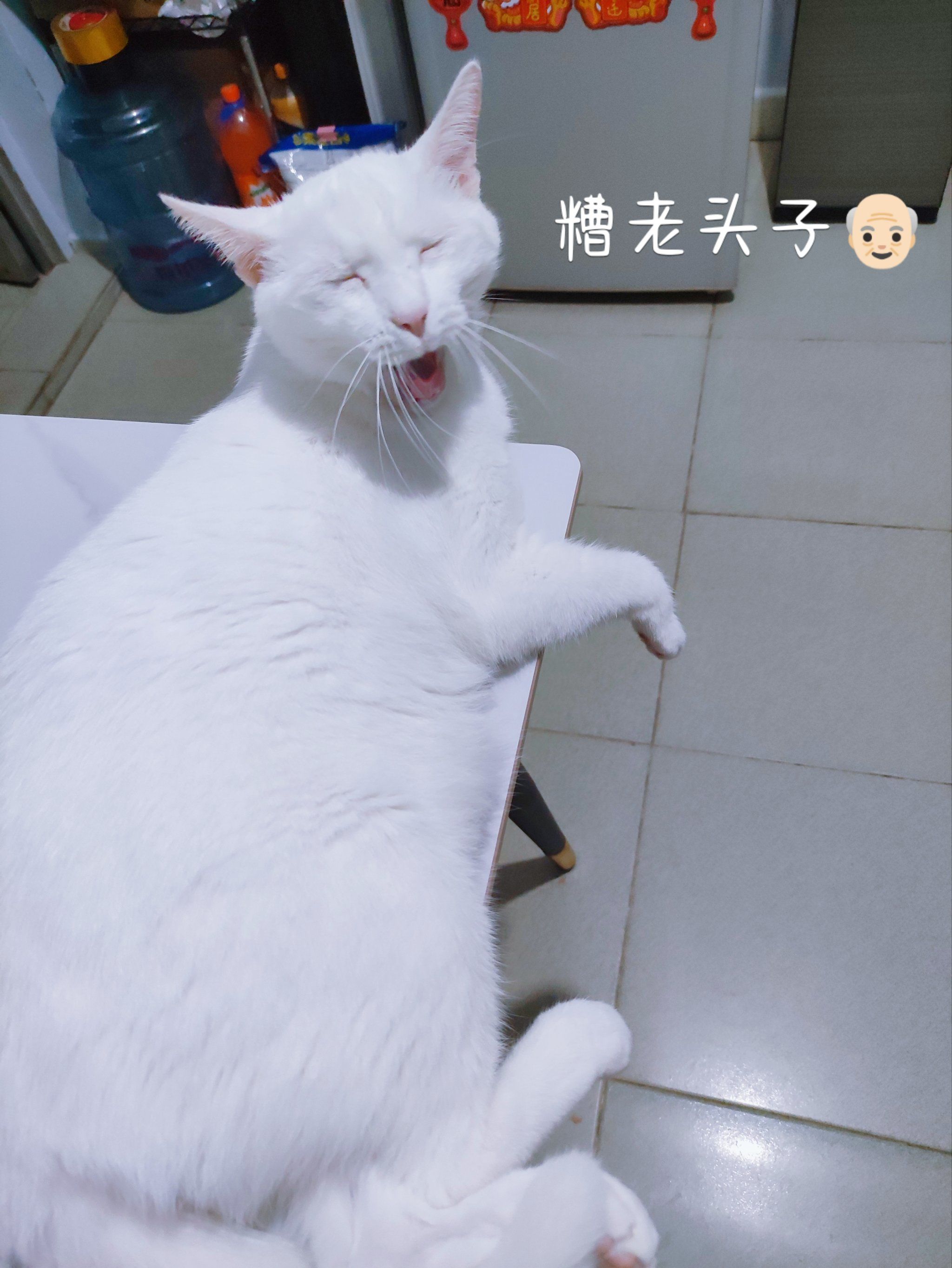 天天领红包 #创作者赏金计划