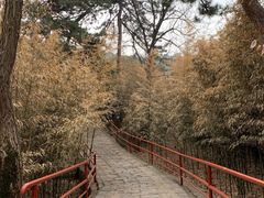 -红螺寺