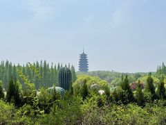 -宜兴龙背山森林公园
