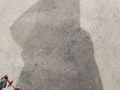 -敦煌古城