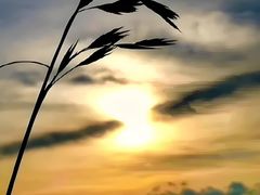 -远洋国际中心(地铁站)