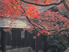 -中国茶叶博物馆(双峰馆区)