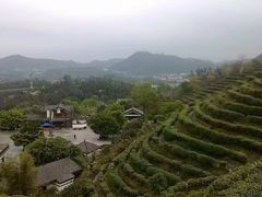 -东部华侨城