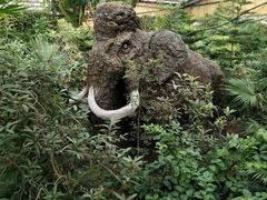 -北京呀路古热带植物园