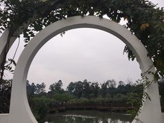 -天府芙蓉园