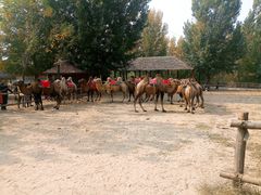 -古柏渡飞黄旅游区