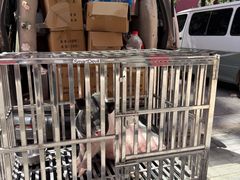 -新奥购物中心