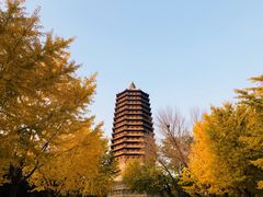 -玲珑塔公园