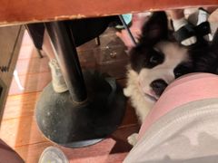 -玛格萝妮比萨屋(四平店)