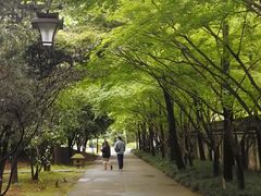 -柯岩风景区