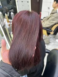 -藤野造型烫发染发