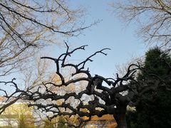 -高庙保安寺