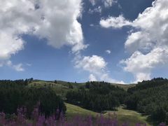 -驼梁风景区