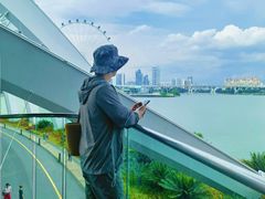 -新加坡摩天观景轮