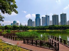 -万绿园