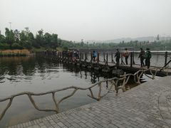 -枫香湖儿童公园