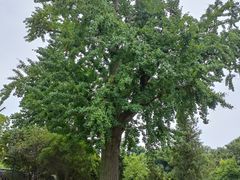 -狼山风景名胜区