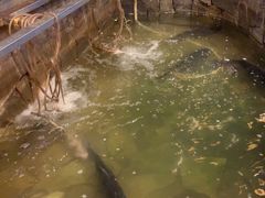 -井水小厨·湘菜(活力广场店)