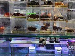 -三旗百汇商品城