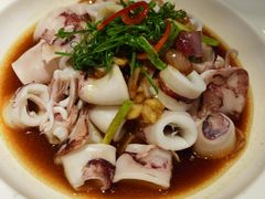 白灼深海鱿鱼-都市阳光海鲜城(青山湖店)