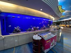 -黄金海景大酒店-旋转餐厅