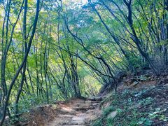 -北京密云天门山风景区
