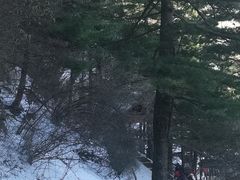 -秦岭天竺山生态文化旅游景区