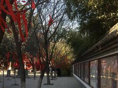 -西安青龙寺遗址景区