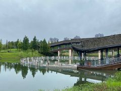 -眉山湿地公园(东坡区)
