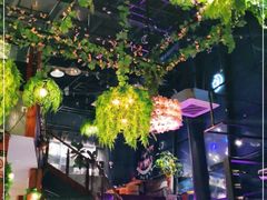 -聚缘·湘味音乐餐厅party(罗湖店)