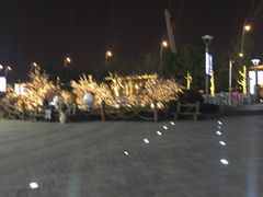 -紫荆广场·花漫里