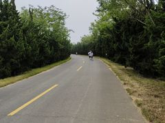-日照海滨国家森林公园