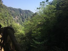 -碧峰峡风景区