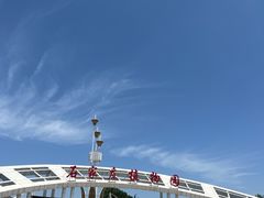 -石家庄市植物园