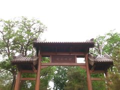 -阳台山自然风景区