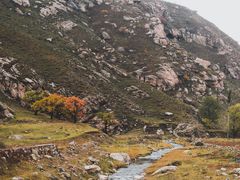 -芦芽山旅游度假区