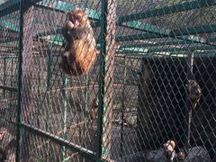 -藏龙百瀑风景区