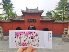 -洛阳白马寺
