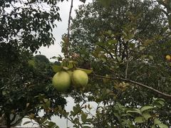 -顺风山庄(水濂山店)