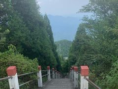 -江西阳明山国家森林公园