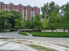 -立水桥公园