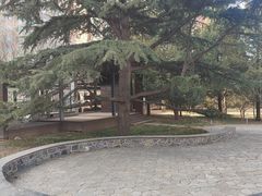 -南长河公园