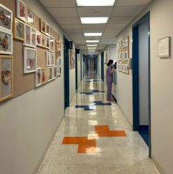 -杭州贝瑞斯美华妇儿医院·早孕·产检·儿科